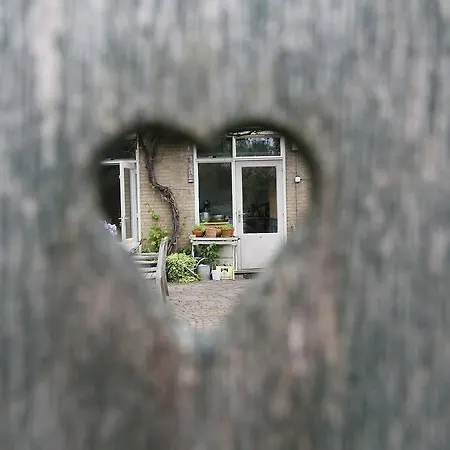 Spacious House With Garden In * 베르겐